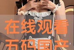 国产双飞在线,探索中国影视产业的创新与突破