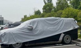 国产一级c爱,探寻中国电影中的爱情魅力