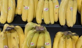 香蕉国产精品,品味家乡的甜蜜诱惑