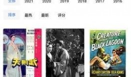 91在线视频国产,国产生态下的创新与崛起