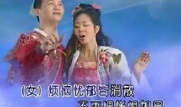 国产双飞在线,探索中国影视产业的创新与突破