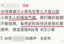 青青青国产手机在线视频,引领潮流的在线视频盛宴