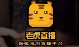 国产深夜福利在线播放,揭秘深夜娱乐新潮流